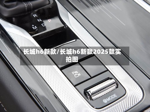 长城h6新款/长城h6新款2025款实拍图-第3张图片