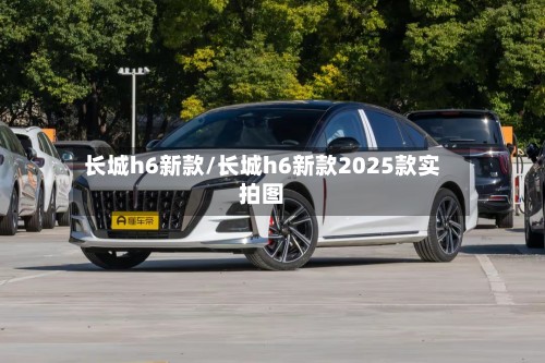 长城h6新款/长城h6新款2025款实拍图
