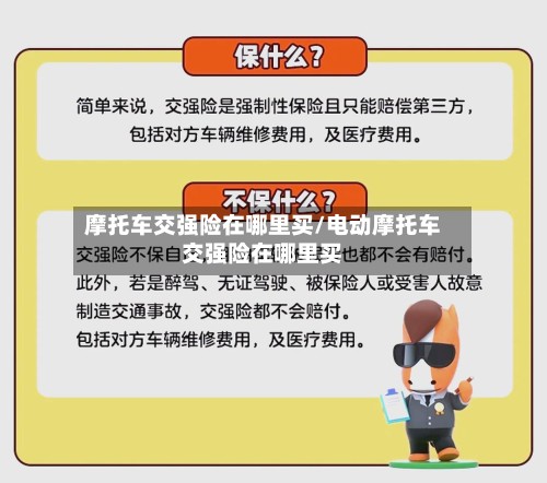 摩托车交强险在哪里买/电动摩托车交强险在哪里买