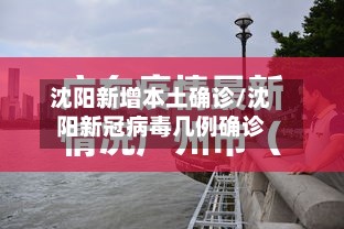 沈阳新增本土确诊/沈阳新冠病毒几例确诊