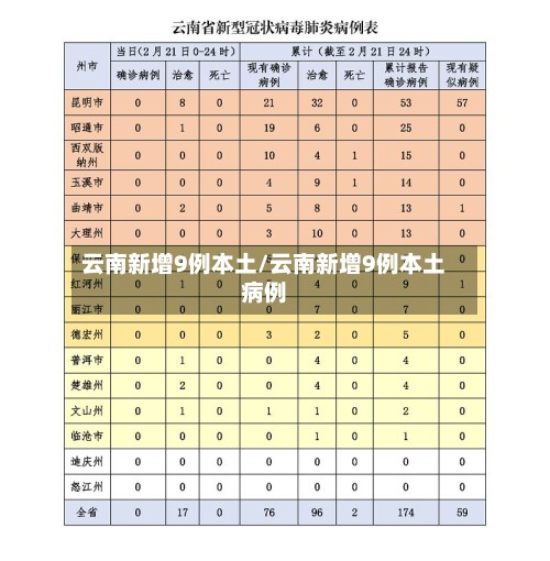 云南新增9例本土/云南新增9例本土病例-第2张图片
