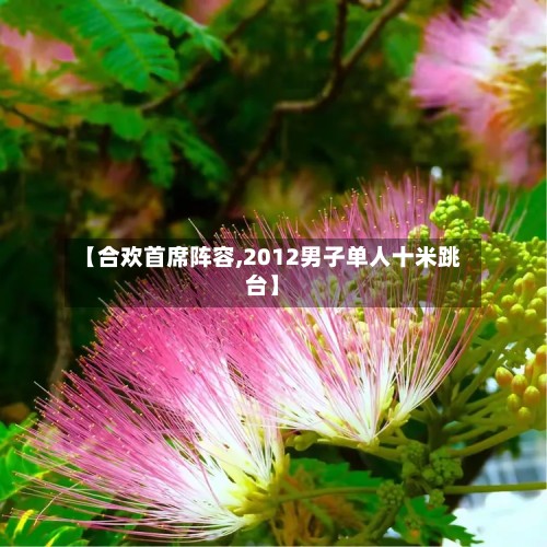 【合欢首席阵容,2012男子单人十米跳台】-第2张图片