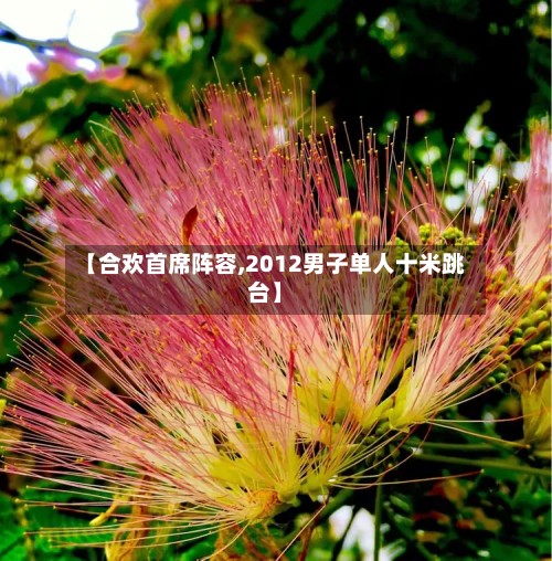 【合欢首席阵容,2012男子单人十米跳台】-第3张图片