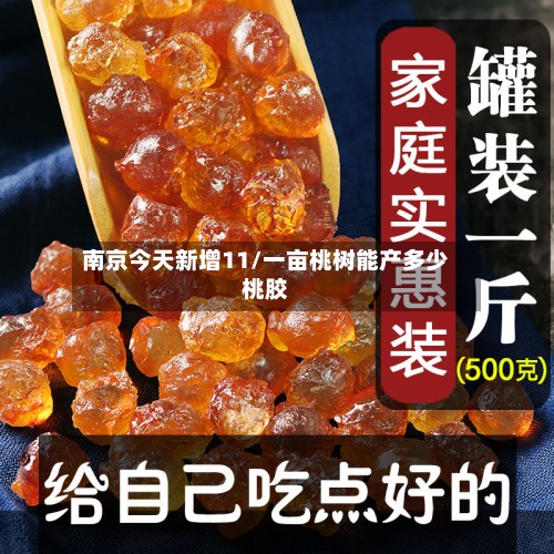 南京今天新增11/一亩桃树能产多少桃胶