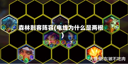 森林刺客阵容(电线为什么是两根)
