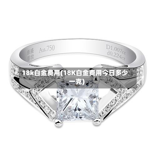 18k白金费用(18K白金费用今日多少一克)