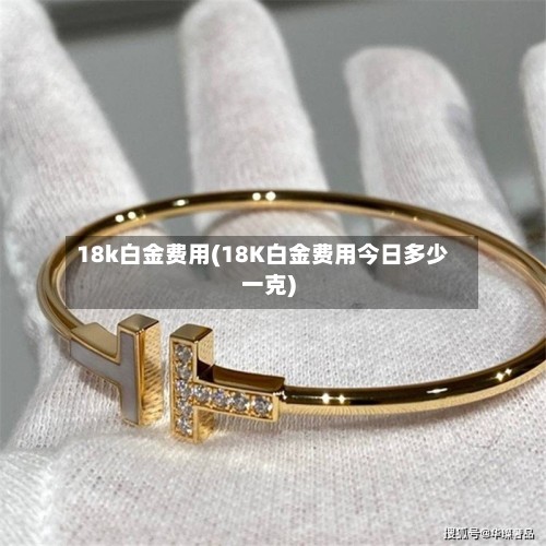 18k白金费用(18K白金费用今日多少一克)-第3张图片