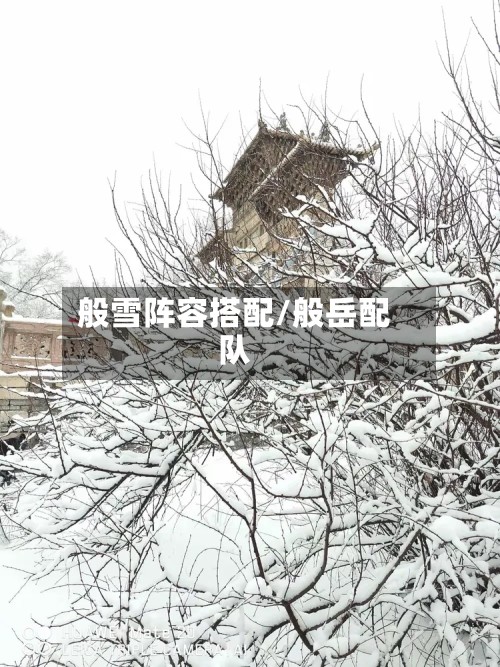 般雪阵容搭配/般岳配队