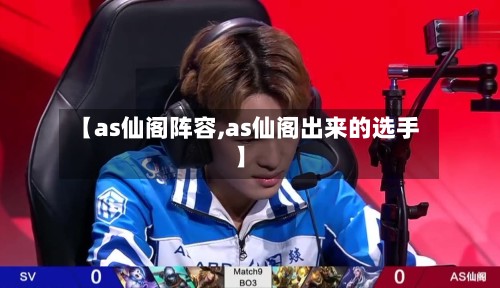 【as仙阁阵容,as仙阁出来的选手】-第3张图片