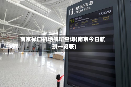 南京禄口机场航班查询(南京今日航班一览表)-第3张图片