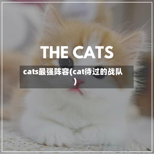 cats最强阵容(cat待过的战队)