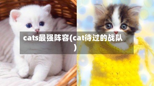 cats最强阵容(cat待过的战队)-第2张图片