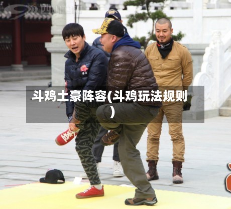 斗鸡土豪阵容(斗鸡玩法规则)-第2张图片