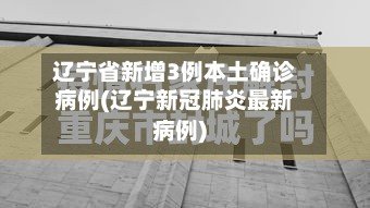 辽宁省新增3例本土确诊病例(辽宁新冠肺炎最新病例)