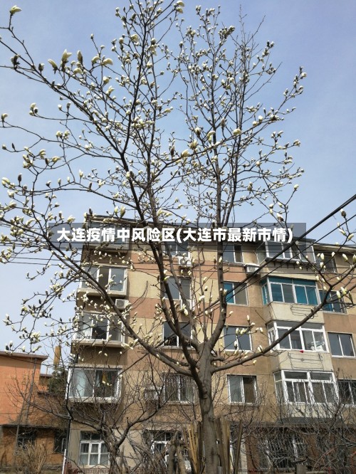大连疫情中风险区(大连市最新市情)-第2张图片