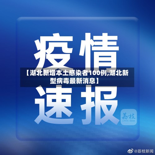 【湖北新增本土感染者100例,湖北新型病毒最新消息】-第3张图片