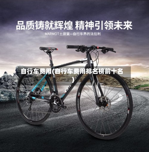 自行车费用(自行车费用排名榜前十名)-第2张图片
