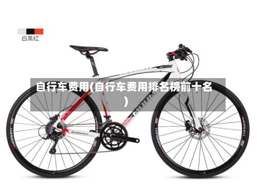 自行车费用(自行车费用排名榜前十名)