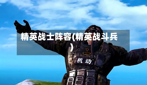 精英战士阵容(精英战斗兵)-第2张图片