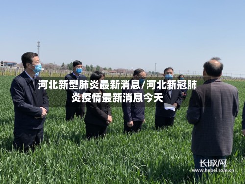 河北新型肺炎最新消息/河北新冠肺炎疫情最新消息今天