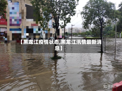 【黑龙江疫情状态,黑龙江汛情最新消息】-第2张图片
