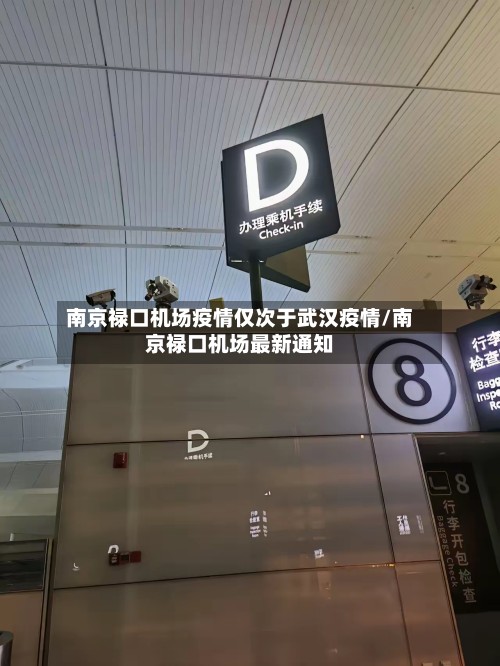 南京禄口机场疫情仅次于武汉疫情/南京禄口机场最新通知-第2张图片