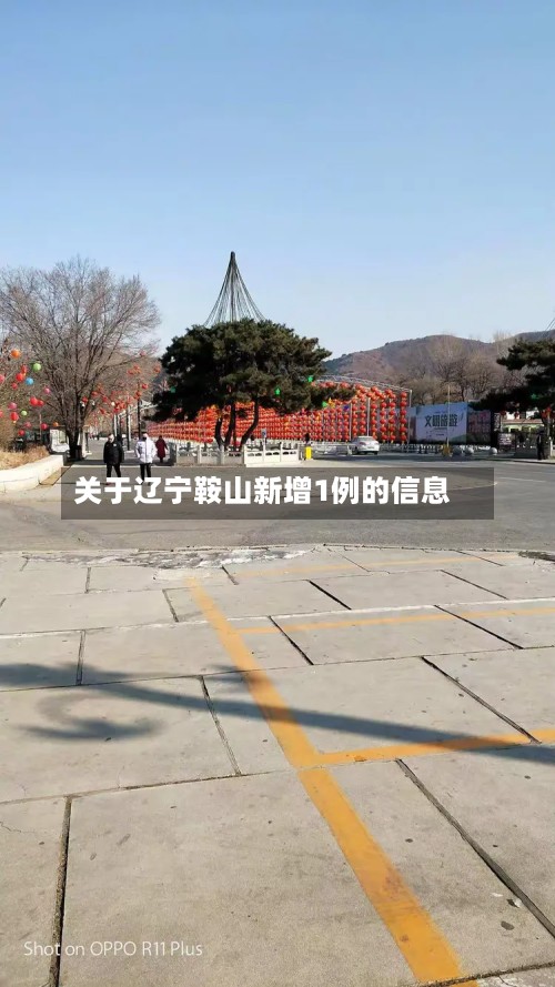 关于辽宁鞍山新增1例的信息-第2张图片