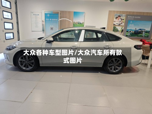 大众各种车型图片/大众汽车所有款式图片