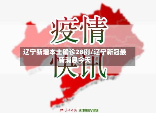 辽宁新增本土确诊28例/辽宁新冠最新消息今天-第2张图片