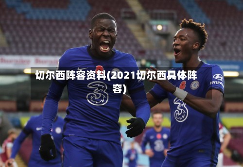切尔西阵容资料(2021切尔西具体阵容)