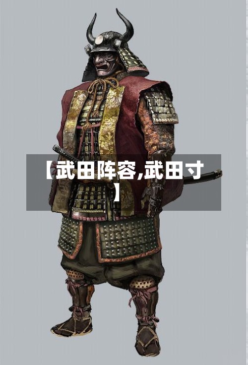 【武田阵容,武田寸】
