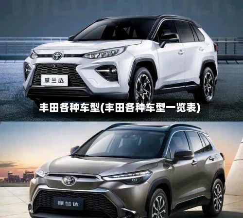 丰田各种车型(丰田各种车型一览表)-第2张图片