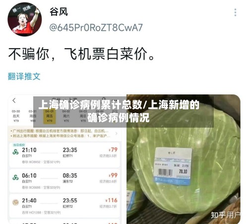 上海确诊病例累计总数/上海新增的确诊病例情况