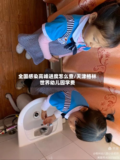 全国感染高峰进度怎么查/天津格林世界幼儿园学费