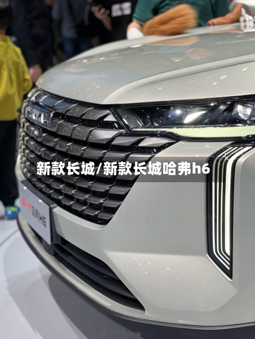 新款长城/新款长城哈弗h6-第2张图片