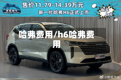 哈弗费用/h6哈弗费用-第3张图片