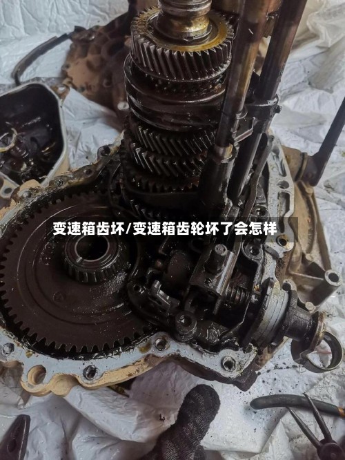 变速箱齿坏/变速箱齿轮坏了会怎样