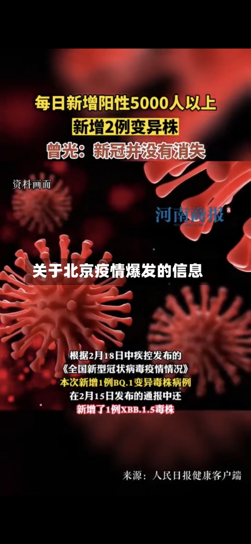 关于北京疫情爆发的信息-第2张图片
