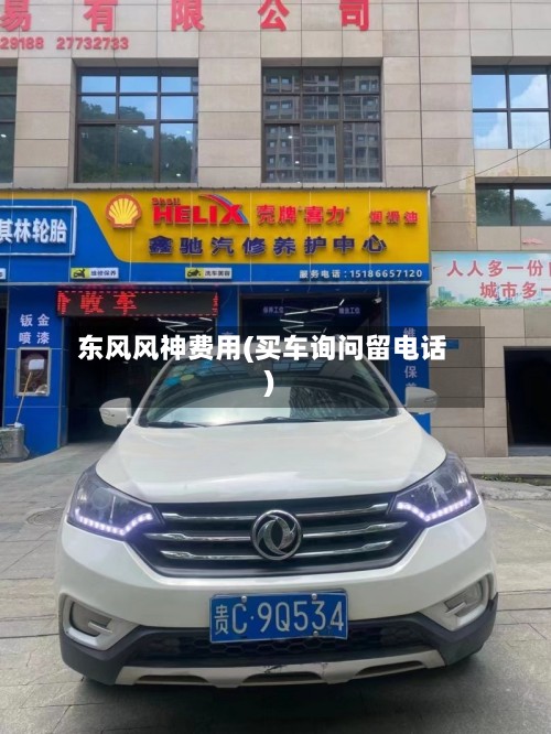 东风风神费用(买车询问留电话)-第3张图片