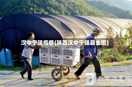 汉中宁强疫情(陕西汉中宁强县全图)