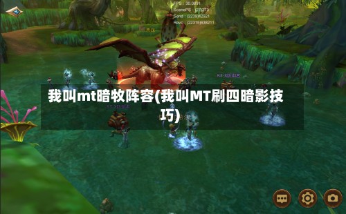 我叫mt暗牧阵容(我叫MT刷四暗影技巧)-第3张图片