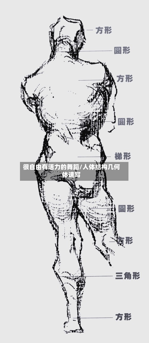 很自由有活力的舞蹈/人体结构几何体速写-第2张图片