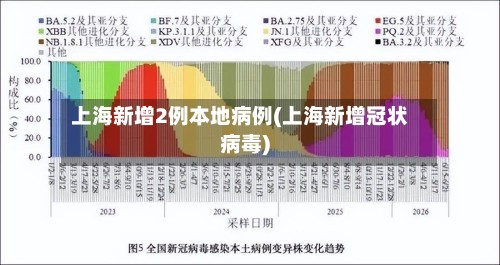 上海新增2例本地病例(上海新增冠状病毒)