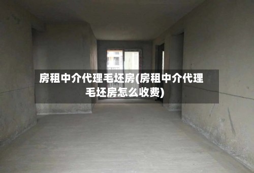 房租中介代理毛坯房(房租中介代理毛坯房怎么收费)-第3张图片