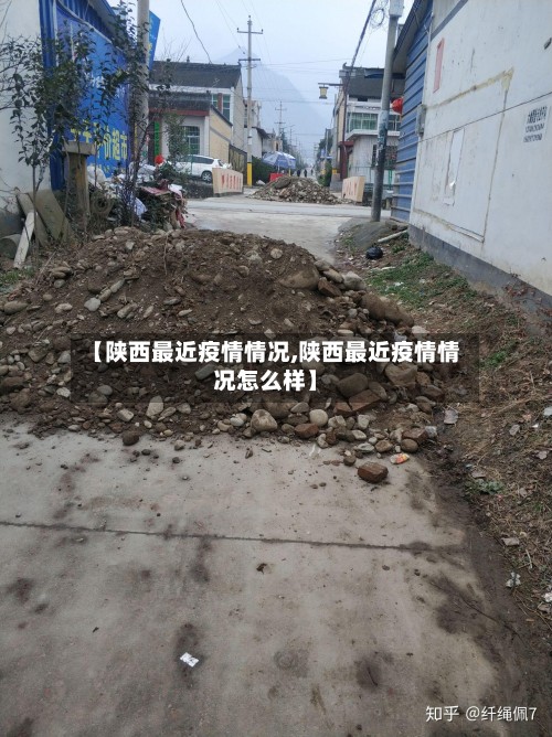 【陕西最近疫情情况,陕西最近疫情情况怎么样】-第3张图片