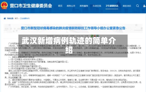 武汉新增病例轨迹的简单介绍