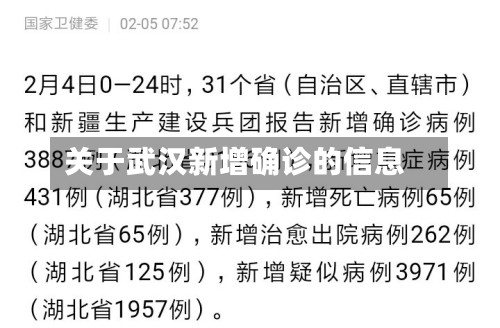 关于武汉新增确诊的信息