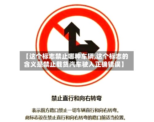 【这个标志禁止哪种车辆,这个标志的含义是禁止载货汽车驶入正确错误】-第2张图片