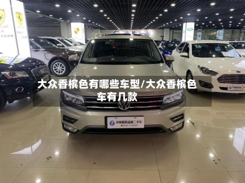 大众香槟色有哪些车型/大众香槟色车有几款-第3张图片