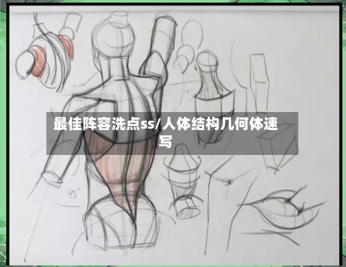 最佳阵容洗点ss/人体结构几何体速写